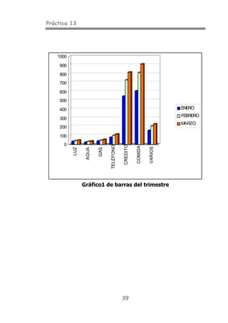 Práctica 13
39
Gráfico1 de barras del trimestre
0
100
200
300
400
500
600
700
800
900
1000
LUZ
AGUA
GAS
TELÉFONO
CREDITO
COMIDA
VARIOS
ENERO
FEBRERO
MARZO
 