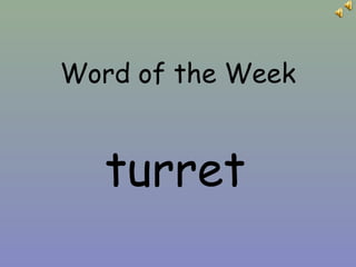 Word of the Week
turret
 