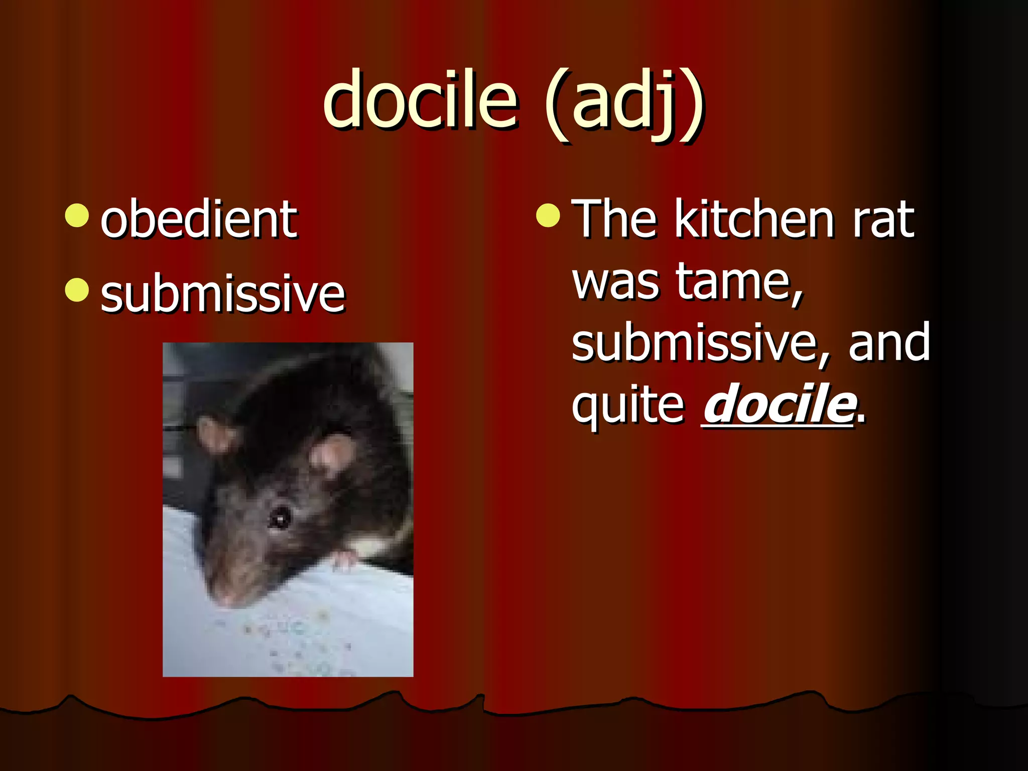 docile (adj)
 obedient          The kitchen rat
 submissive        was tame,
                    submissive, and
                    quite docile.
 