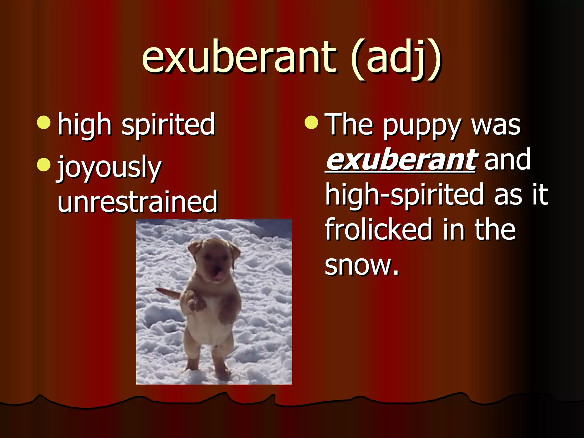 exuberant (adj)
 high spirited    The  puppy was
 joyously         exuberant and
  unrestrained     high-spirited as it
                   frolicked in the
                   snow.
 