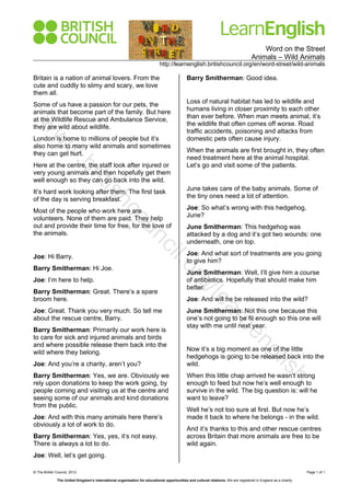 Word on the Street
Animals – Wild Animals
http://learnenglish.britishcouncil.org/en/word-street/wild-animals
© The British Council, 2012 Page 1 of 1
The United Kingdom’s international organisation for educational opportunities and cultural relations. We are registered in England as a charity.
Britain is a nation of animal lovers. From the
cute and cuddly to slimy and scary, we love
them all.
Some of us have a passion for our pets, the
animals that become part of the family. But here
at the Wildlife Rescue and Ambulance Service,
they are wild about wildlife.
London is home to millions of people but it’s
also home to many wild animals and sometimes
they can get hurt.
Here at the centre, the staff look after injured or
very young animals and then hopefully get them
well enough so they can go back into the wild.
It’s hard work looking after them. The first task
of the day is serving breakfast.
Most of the people who work here are
volunteers. None of them are paid. They help
out and provide their time for free, for the love of
the animals.
Joe: Hi Barry.
Barry Smitherman: Hi Joe.
Joe: I’m here to help.
Barry Smitherman: Great. There’s a spare
broom here.
Joe: Great. Thank you very much. So tell me
about the rescue centre, Barry.
Barry Smitherman: Primarily our work here is
to care for sick and injured animals and birds
and where possible release them back into the
wild where they belong.
Joe: And you’re a charity, aren’t you?
Barry Smitherman: Yes, we are. Obviously we
rely upon donations to keep the work going, by
people coming and visiting us at the centre and
seeing some of our animals and kind donations
from the public.
Joe: And with this many animals here there’s
obviously a lot of work to do.
Barry Smitherman: Yes, yes, it’s not easy.
There is always a lot to do.
Joe: Well, let’s get going.
Barry Smitherman: Good idea.
Loss of natural habitat has led to wildlife and
humans living in closer proximity to each other
than ever before. When man meets animal, it’s
the wildlife that often comes off worse. Road
traffic accidents, poisoning and attacks from
domestic pets often cause injury.
When the animals are first brought in, they often
need treatment here at the animal hospital.
Let’s go and visit some of the patients.
June takes care of the baby animals. Some of
the tiny ones need a lot of attention.
Joe: So what’s wrong with this hedgehog,
June?
June Smitherman: This hedgehog was
attacked by a dog and it’s got two wounds: one
underneath, one on top.
Joe: And what sort of treatments are you going
to give him?
June Smitherman: Well, I’ll give him a course
of antibiotics. Hopefully that should make him
better.
Joe: And will he be released into the wild?
June Smitherman: Not this one because this
one’s not going to be fit enough so this one will
stay with me until next year.
Now it’s a big moment as one of the little
hedgehogs is going to be released back into the
wild.
When this little chap arrived he wasn’t strong
enough to feed but now he’s well enough to
survive in the wild. The big question is: will he
want to leave?
Well he’s not too sure at first. But now he’s
made it back to where he belongs - in the wild.
And it’s thanks to this and other rescue centres
across Britain that more animals are free to be
wild again.
w
w
w
.britishcouncil.org/learnenglish
 