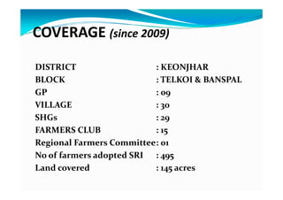 COVERAGE (since 2009)
DISTRICT : KEONJHAR
BLOCK : TELKOI & BANSPAL
GP : 09
VILLAGE : 30
SHGs : 29
FARMERS CLUB : 15
Regional Farmers Committee: 01
No of farmers adopted SRI : 495
Land covered : 145 acres