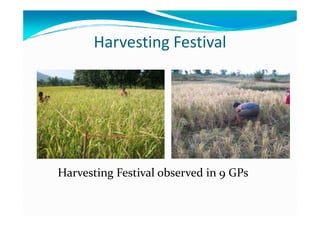 Harvesting Festival




Harvesting Festival observed in 9 GPs
 