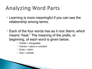 Part Analysis. Reading Word part analysis | PPT