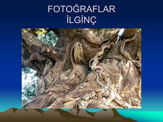 FOTOĞRAFLAR
İLGİNÇ
 