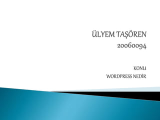 KONU
WORDPRESS NEDİR
 