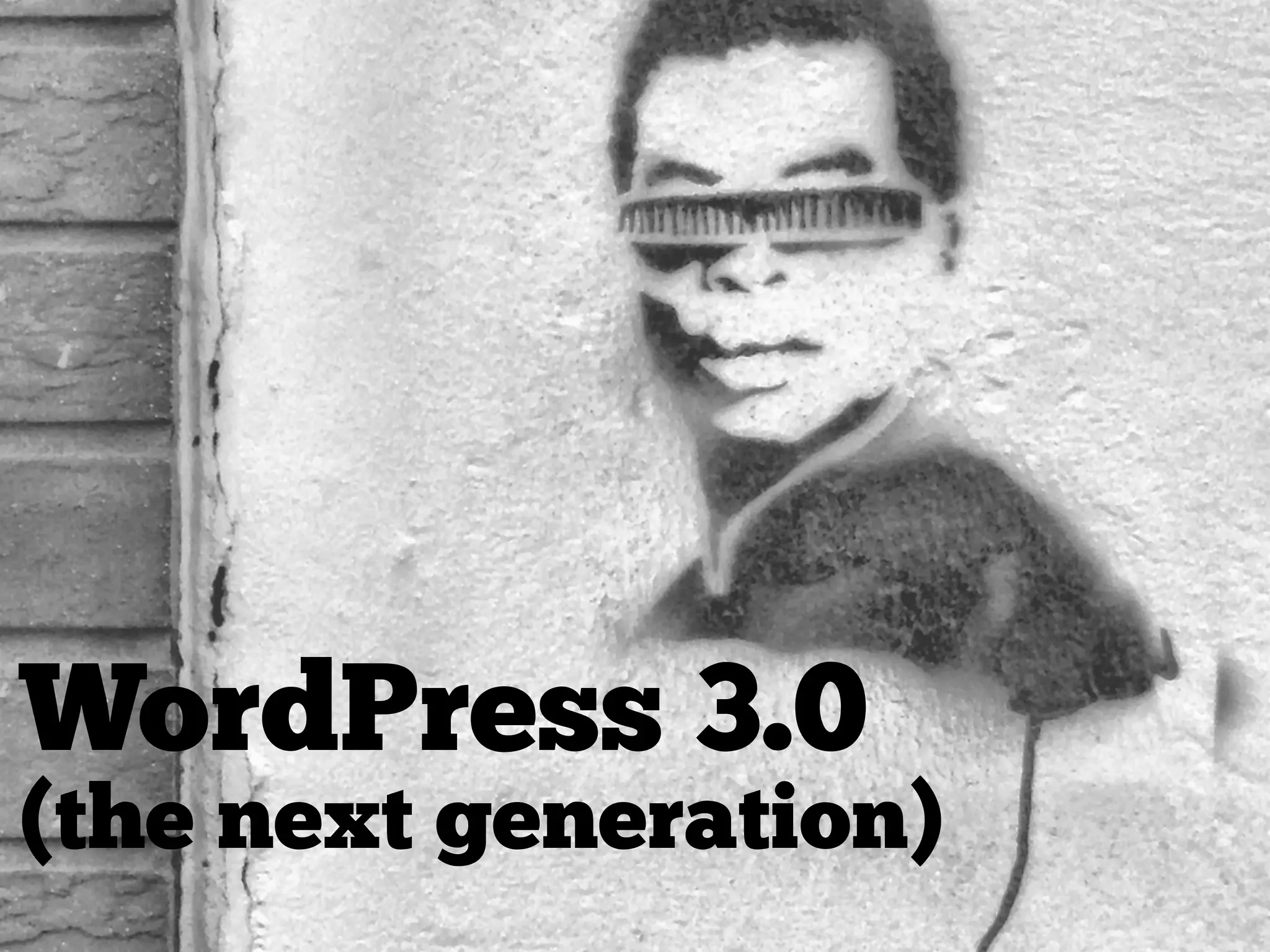 WordPress 3.0
(the next generation)
 