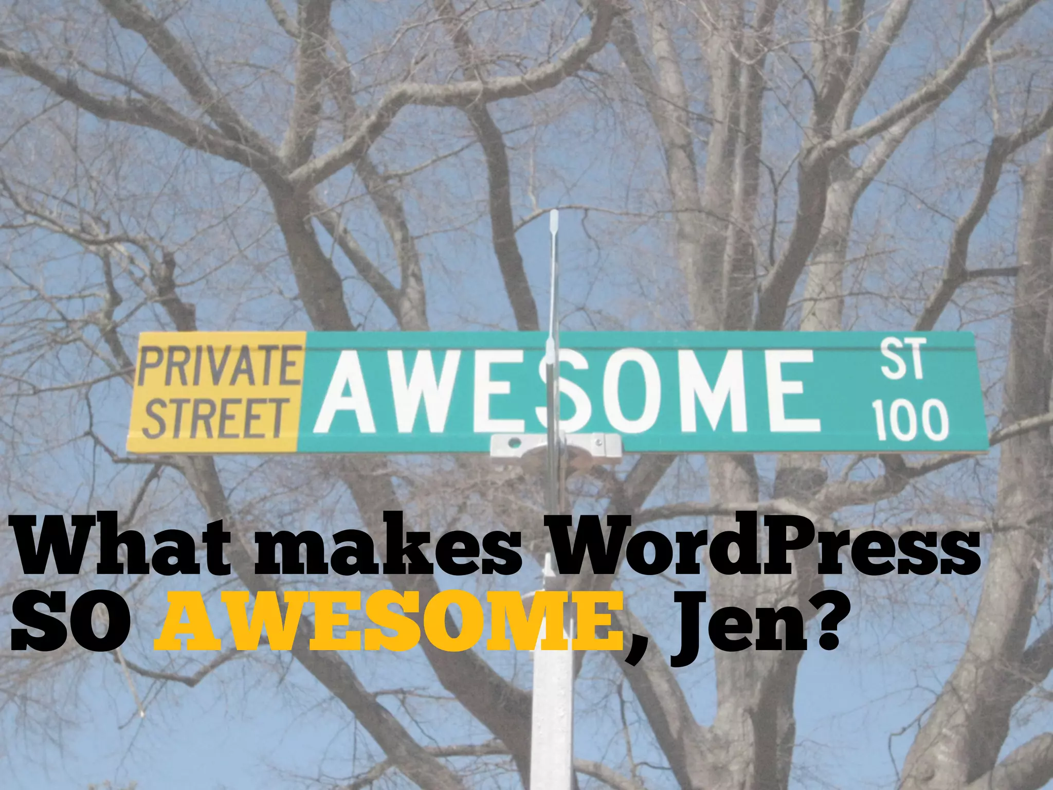 What makes WordPress
SO AWESOME, Jen?
 