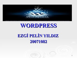 WORDPRESS EZGİ PELİN YILDIZ  20071082 