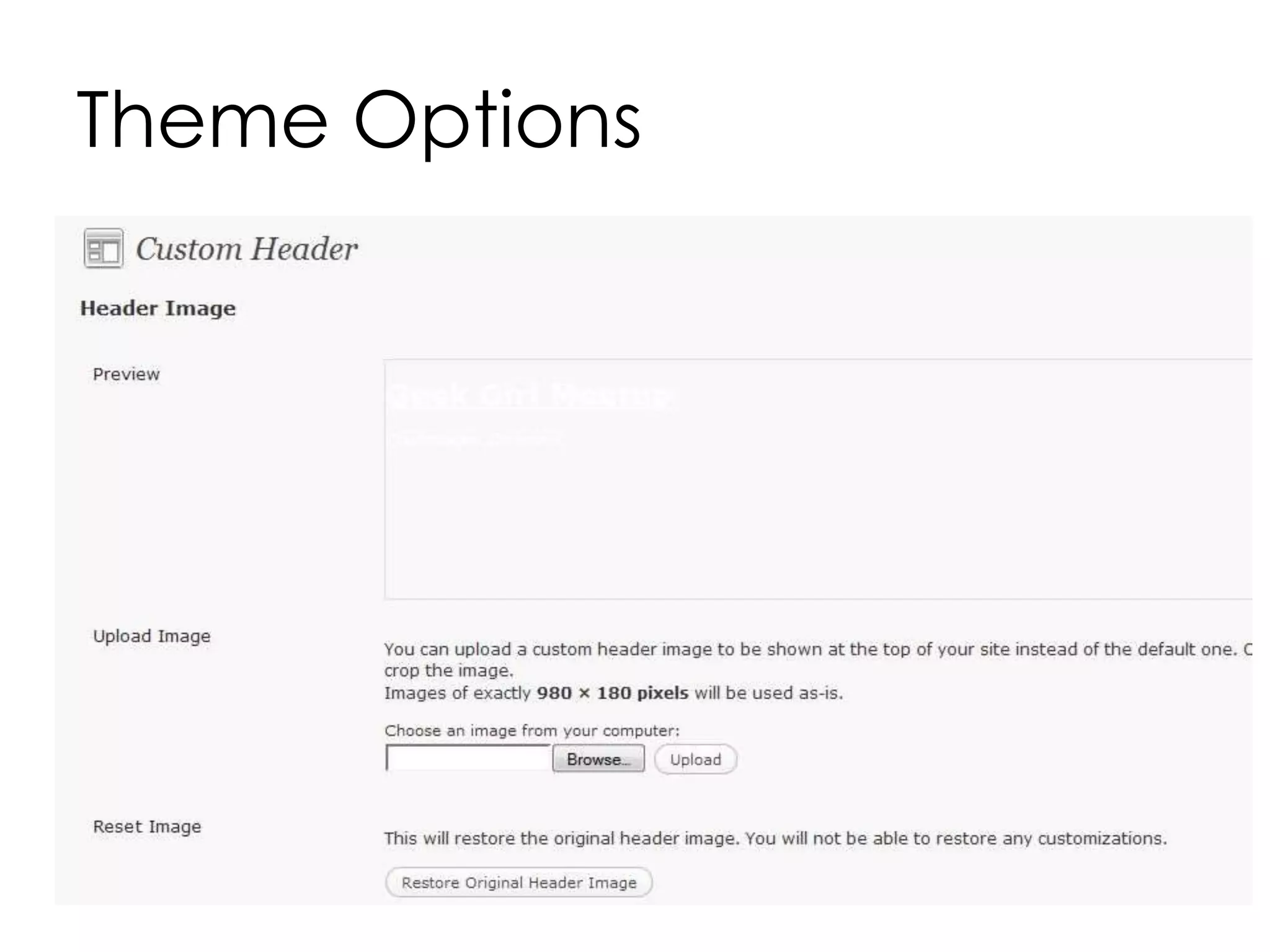 Theme Options
 