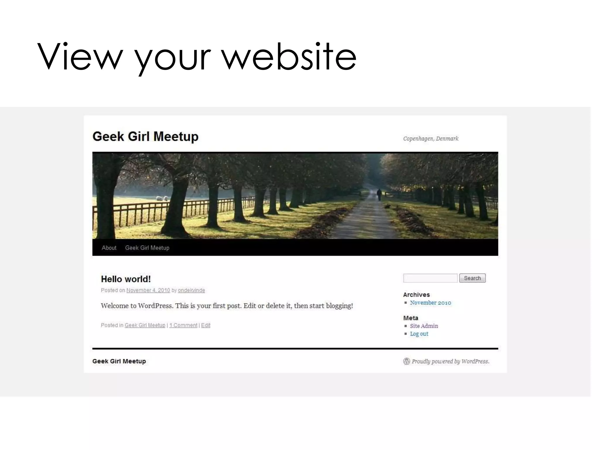 View your website
 