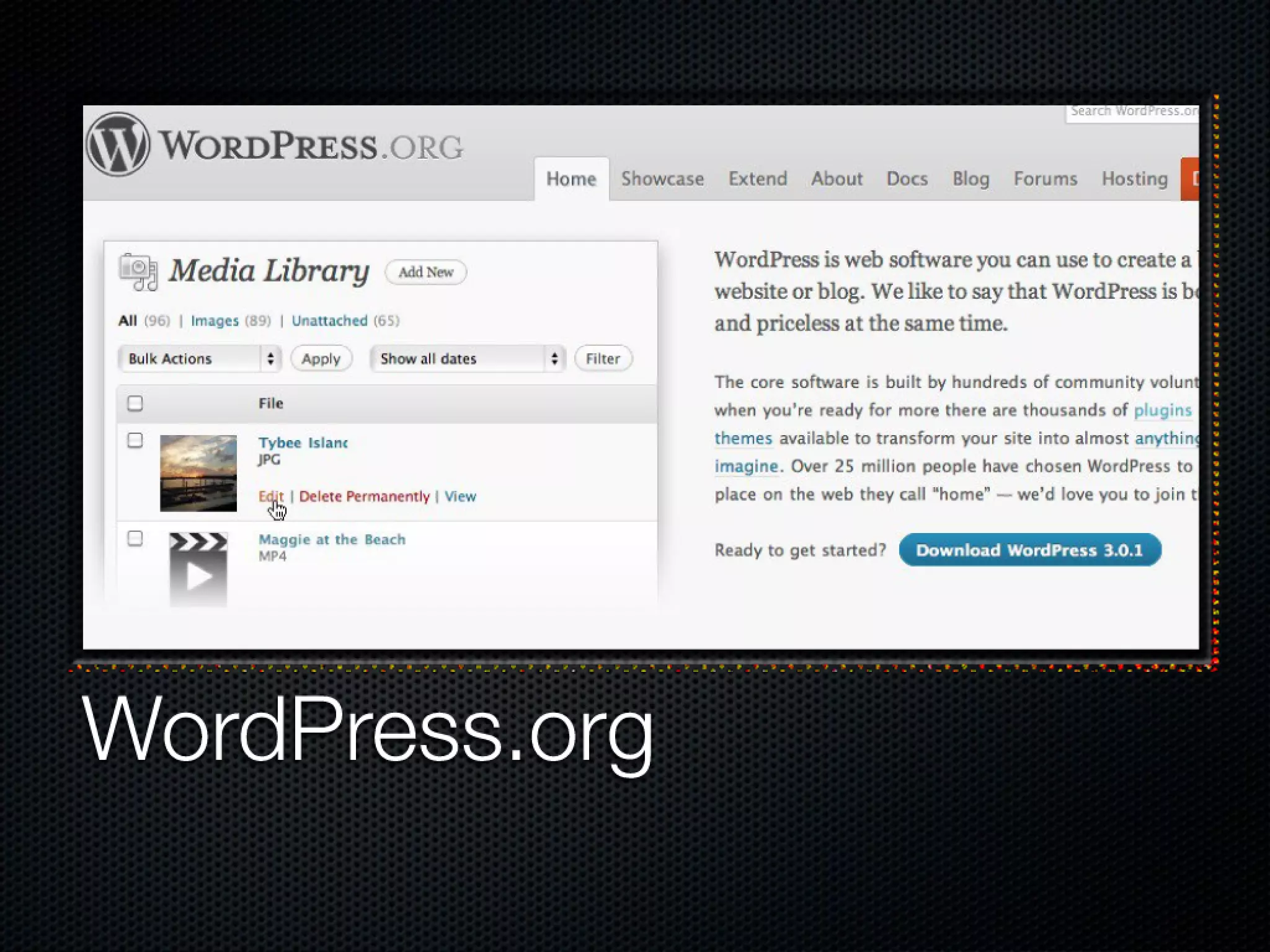 WordPress