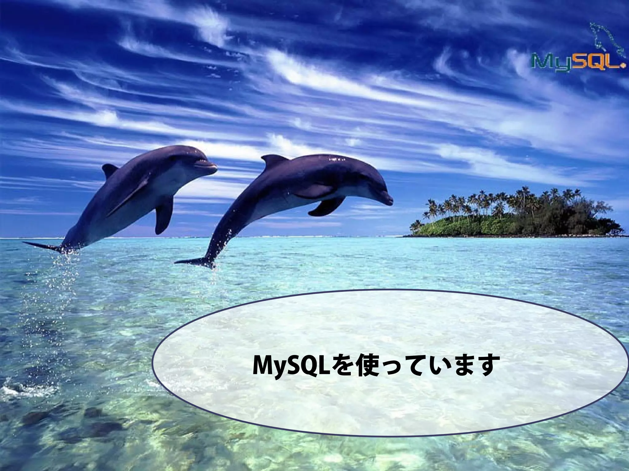 MySQLを使っています
 