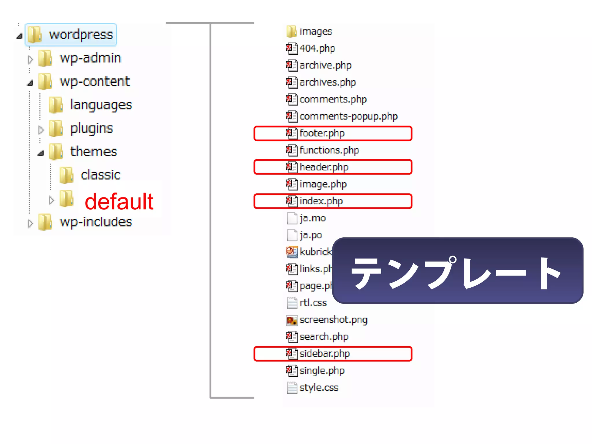 default


          テンプレート
 