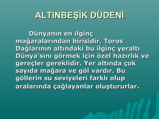ALTINBEŞİK DÜDENİALTINBEŞİK DÜDENİ
Dünyanın en ilginçDünyanın en ilginç
mağaralarından birisidir. Torosmağaralarından birisidir. Toros
Dağlarının altındaki bu ilginç yeraltıDağlarının altındaki bu ilginç yeraltı
Dünya’sını görmek için özel hazırlık veDünya’sını görmek için özel hazırlık ve
gereçler gereklidir. Yer altında çokgereçler gereklidir. Yer altında çok
sayıda mağara ve göl vardır. Busayıda mağara ve göl vardır. Bu
göllerin su seviyeleri farklı olupgöllerin su seviyeleri farklı olup
aralarında çağlayanlar oluştururlararalarında çağlayanlar oluştururlar..
 