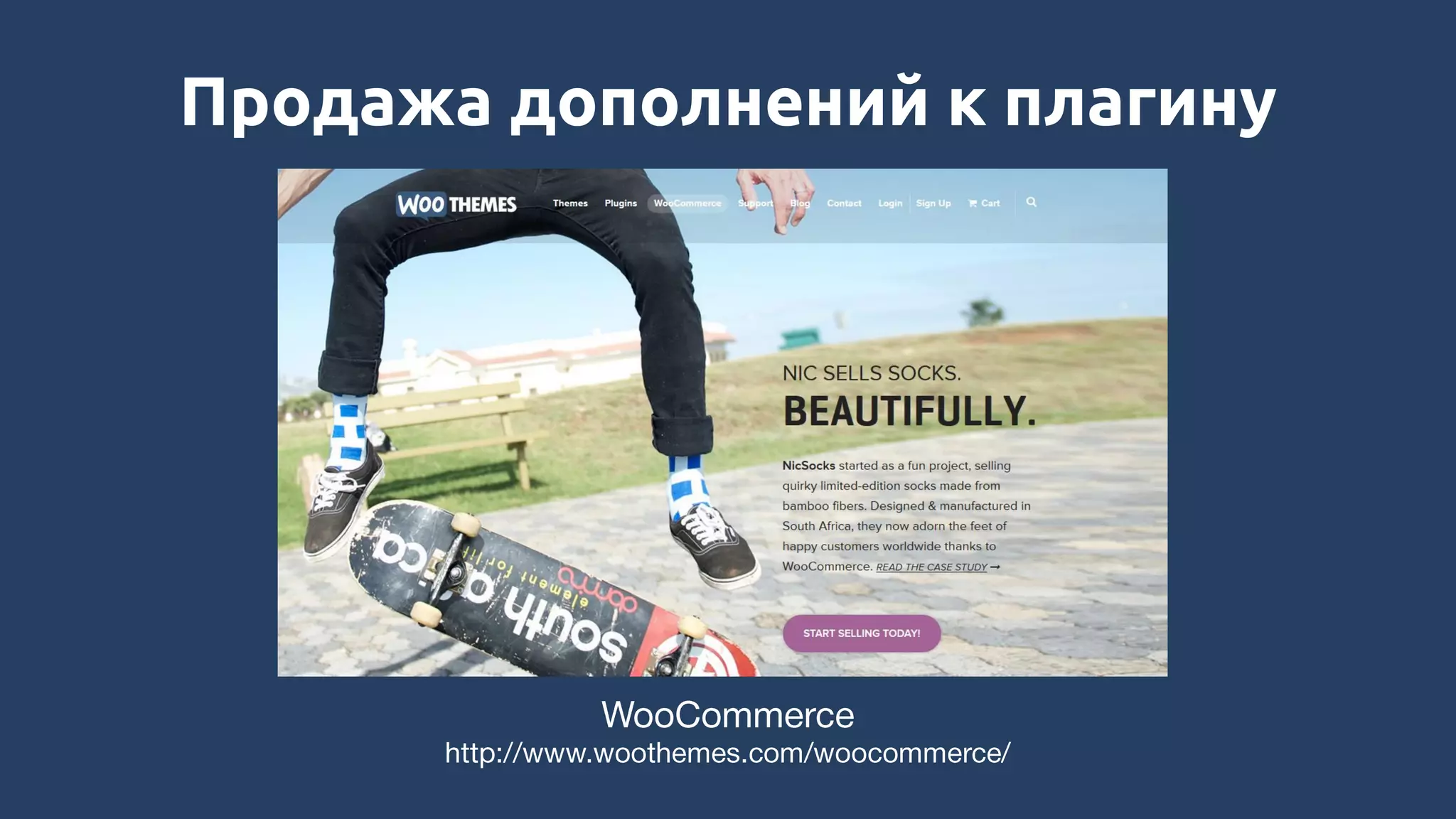 Продажа дополнений к плагину
 