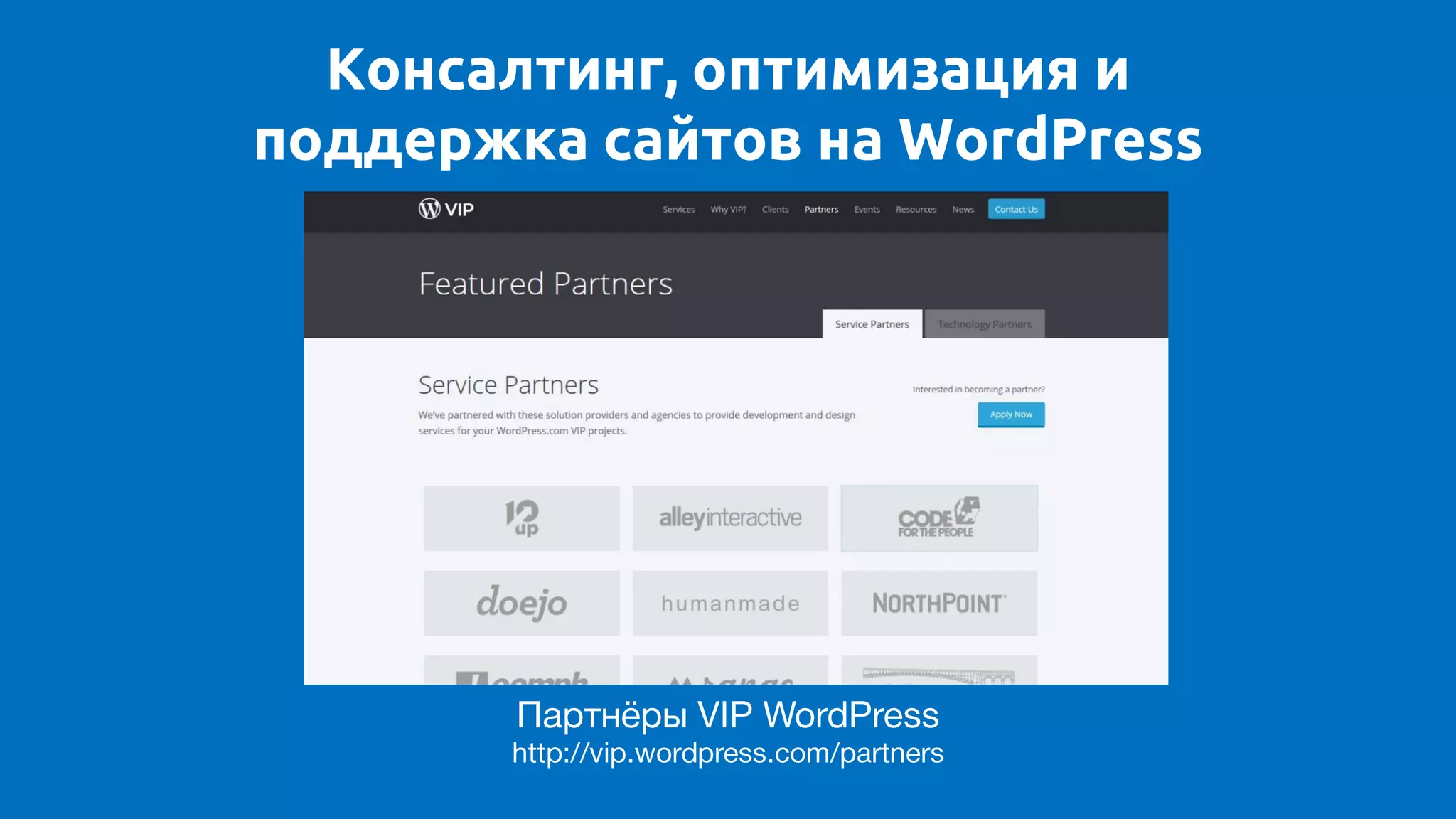 Консалтинг, оптимизация и
поддержка сайтов на WordPress
 
