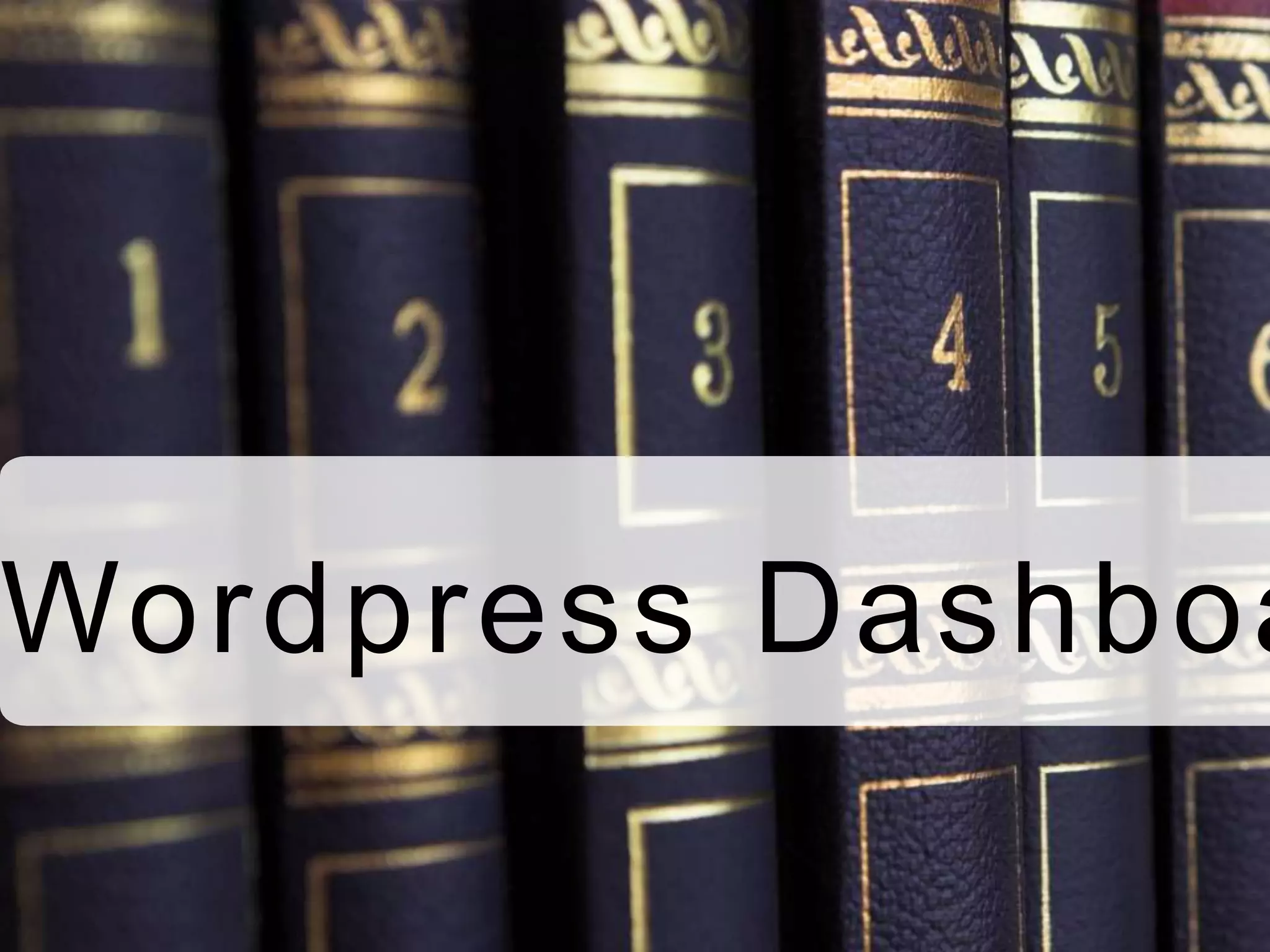 Wordpress Dashboa
 