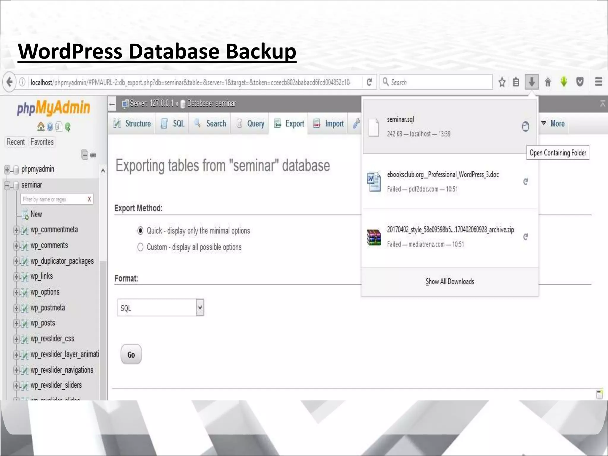 WordPress Database Backup
 