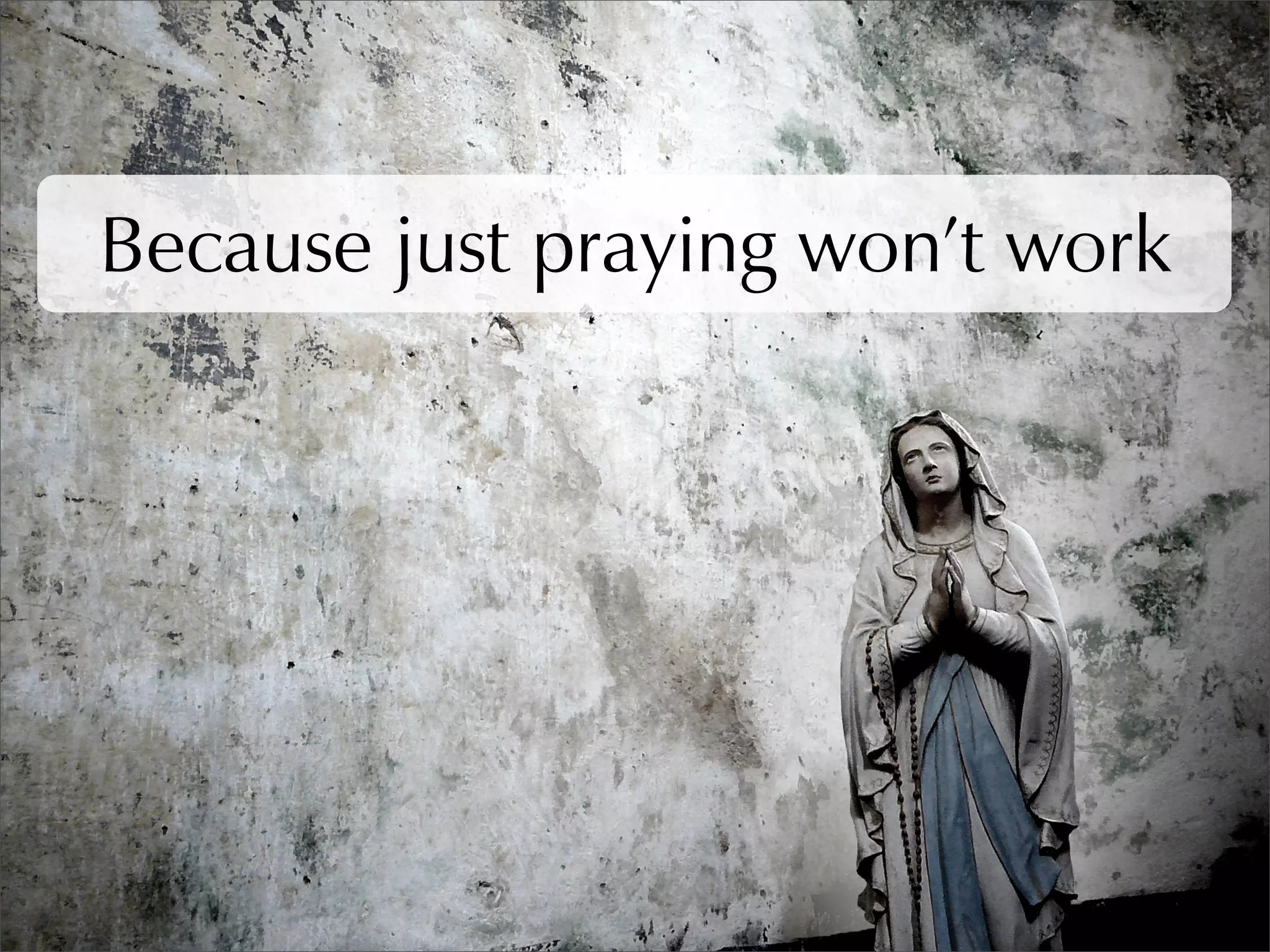 WordPress SEO & Optimisation