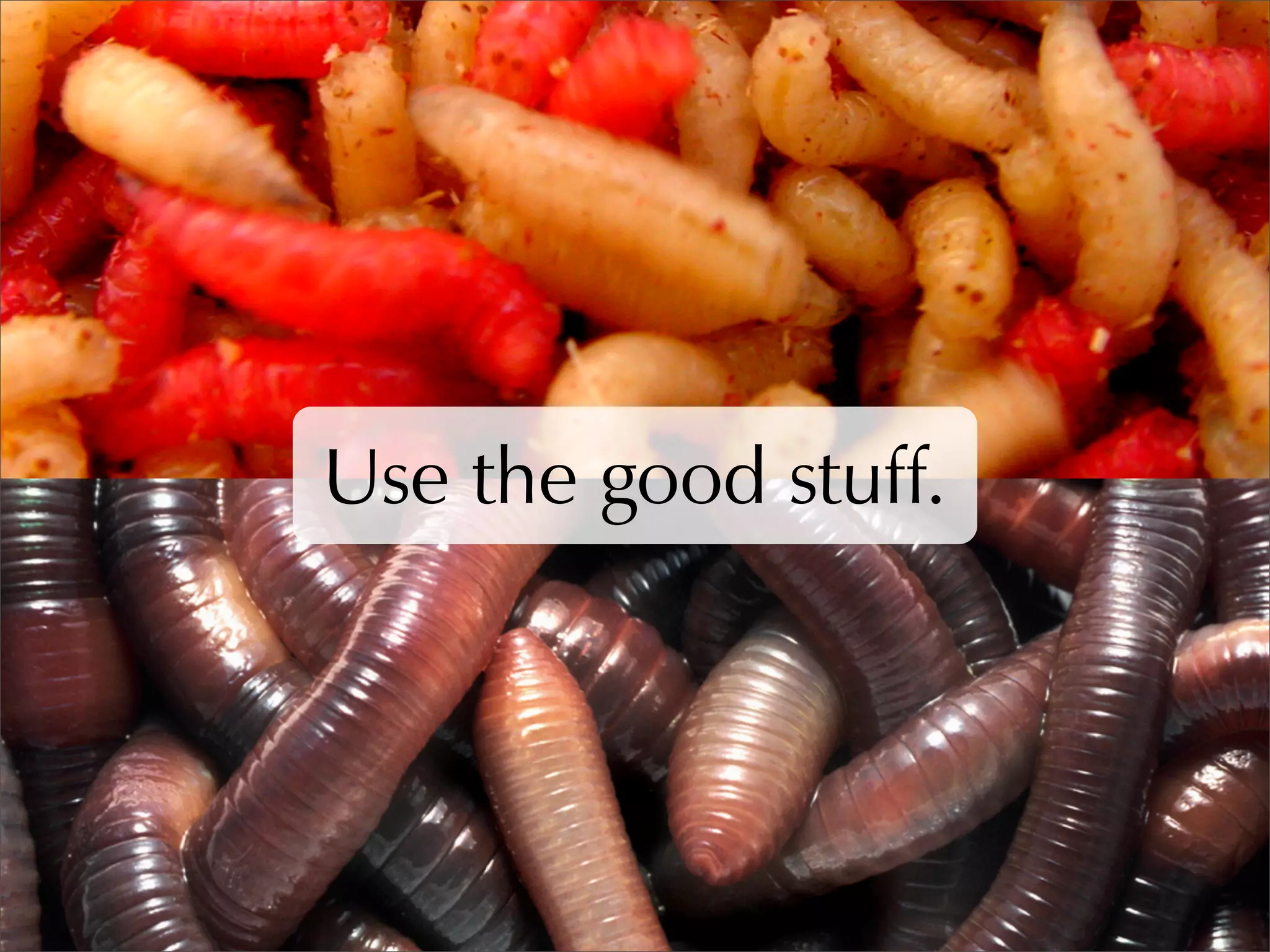 WordPress SEO & Optimisation