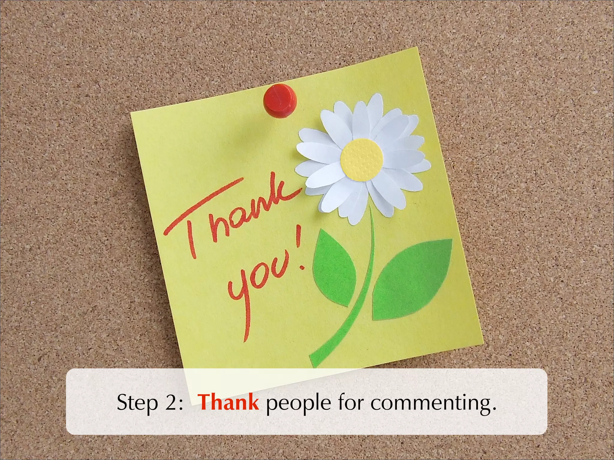 WordPress SEO & Optimisation