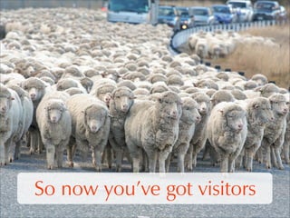 WordPress SEO & Optimisation