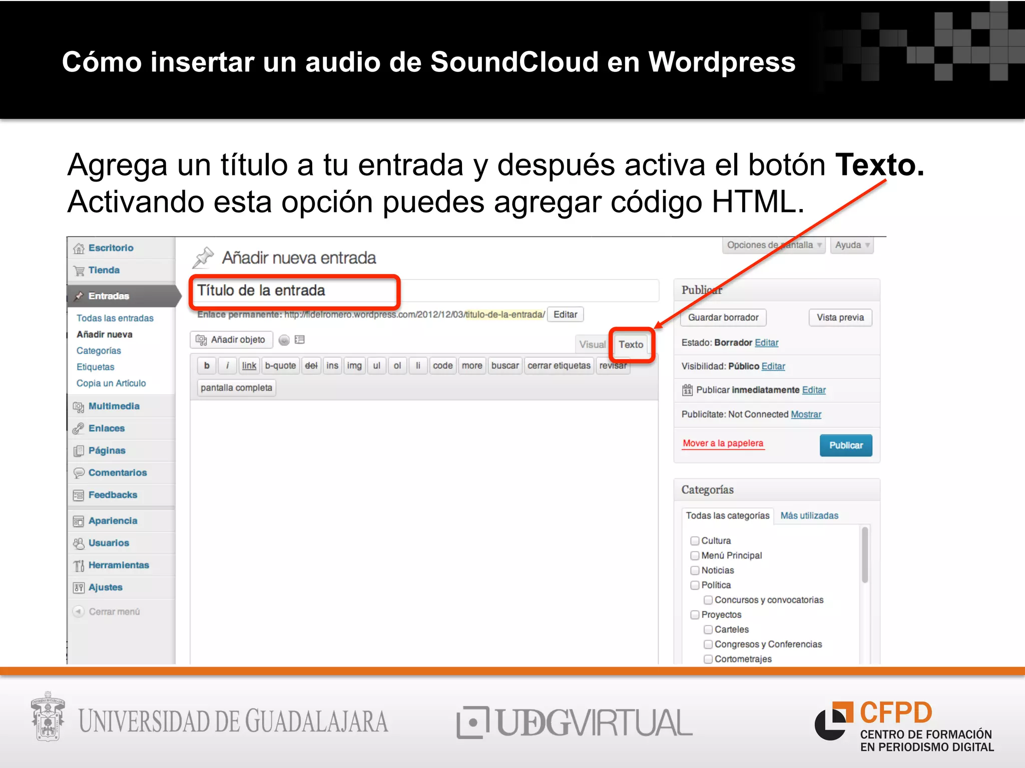 Cómo insertar un audio de SoundCloud en Wordpress
Agrega un título a tu entrada y después activa el botón Texto.
Activando esta opción puedes agregar código HTML.