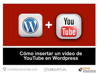 +
Cómo insertar un video de
 YouTube en Wordpress
 