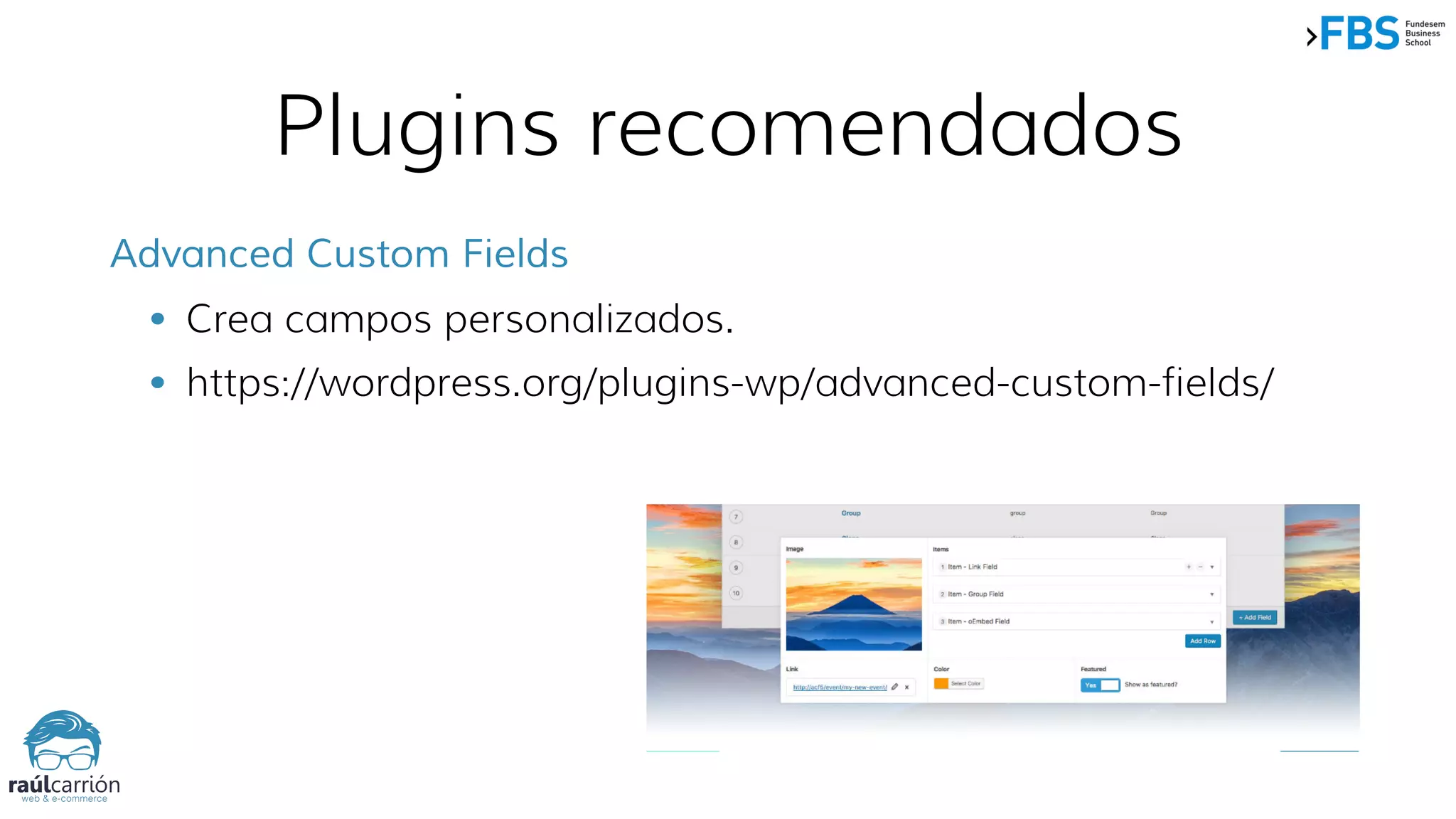 Plugins recomendados
Advanced Custom Fields
• Crea campos personalizados.
• https://wordpress.org/plugins-wp/advanced-custom-fields/
 