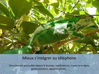 Mieux s’intégrer au téléphone
Directement accessible depuis le bureau, notifications, mode hors-ligne,
géolocalisation, appareil photo…
 