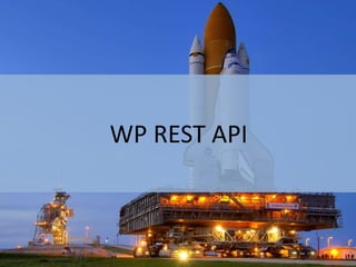 WP REST API
 