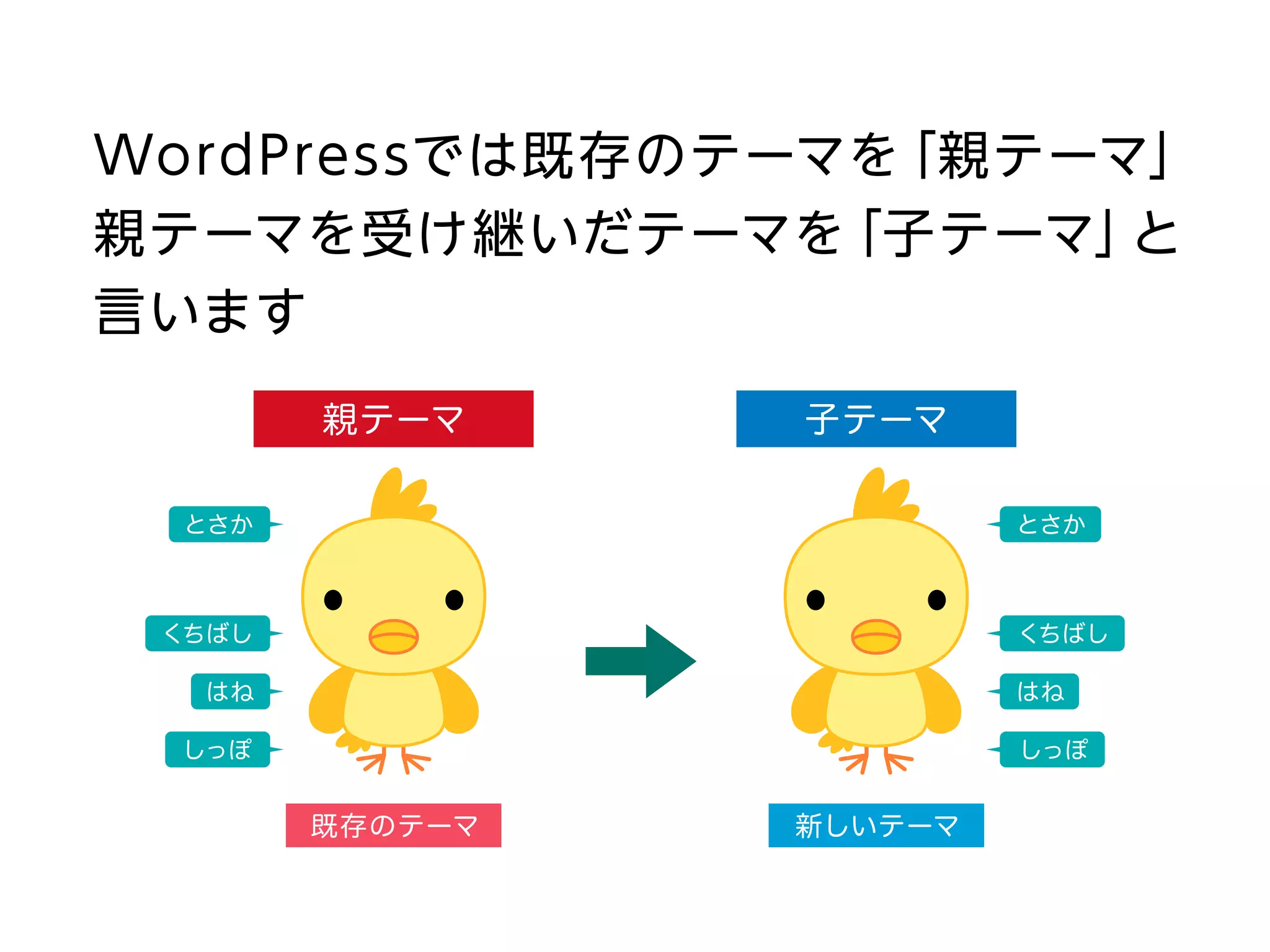 WordPressでは既存のテーマを「親テーマ」
親テーマを受け継いだテーマを「子テーマ」と
言います
とさか
くちばし
はね
しっぽ しっぽ
とさか
くちばし
はね
既存のテーマ 新しいテーマ
親テーマ 子テーマ
 