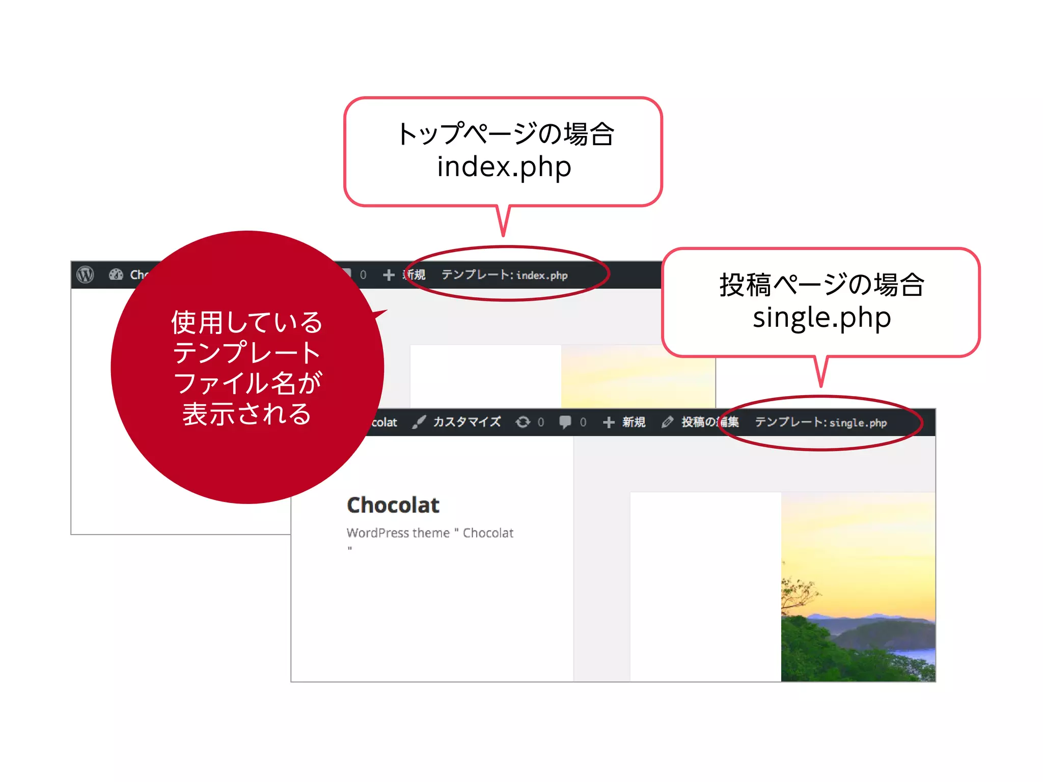 トップページの場合
index.php
投稿ページの場合
single.php使用している
テンプレート
ファイル名が
表示される
 