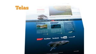 Wordpress: do briefing ao photoshop (10º WP Meetup)