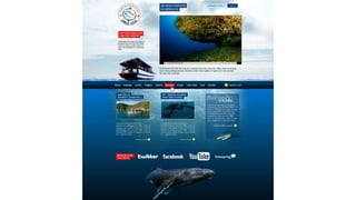 Wordpress: do briefing ao photoshop (10º WP Meetup)