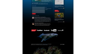 Wordpress: do briefing ao photoshop (10º WP Meetup)