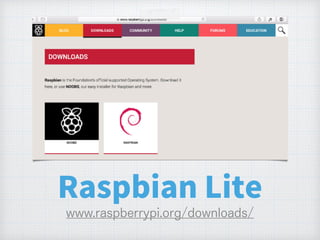 Raspbian Lite
 