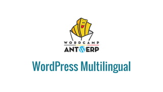 WordPress Multilingual
 