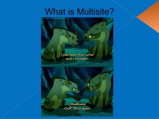 What is Multisite?
 