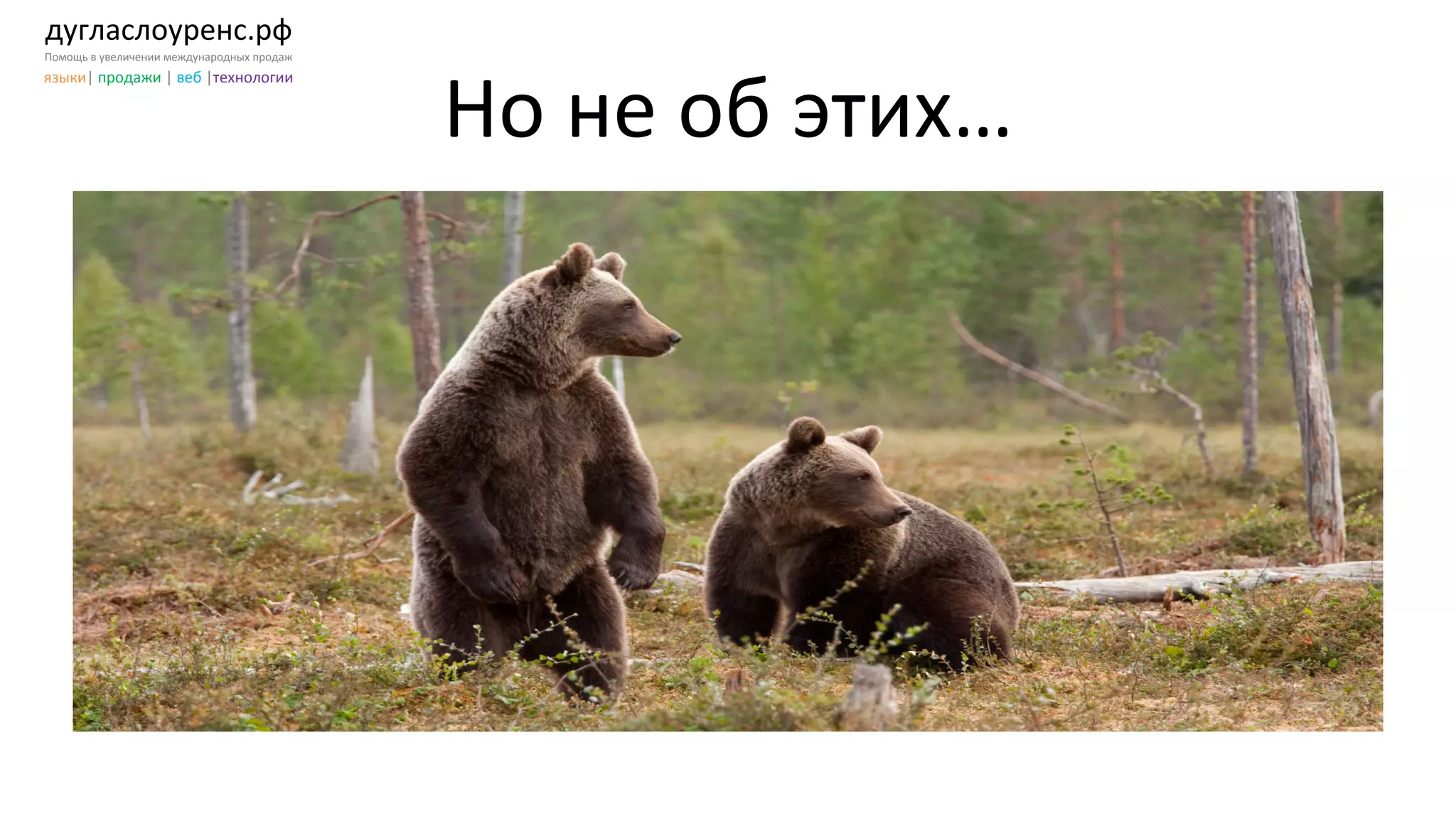 дугласлоуренс.рф	
  
Помощь	
  в	
  увеличении	
  международных	
  продаж	
  
языки|	
  продажи	
  |	
  веб	
  |технологии	
  
Но	
  не	
  об	
  этих…	
  
 