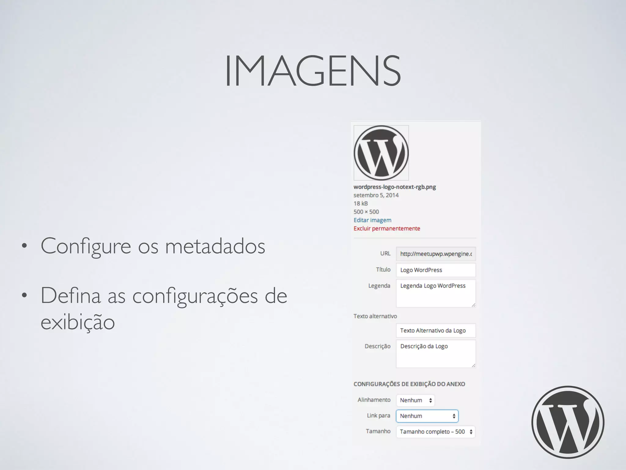 IMAGENS
• Conﬁgure os metadados
• Deﬁna as conﬁgurações de
exibição
 
