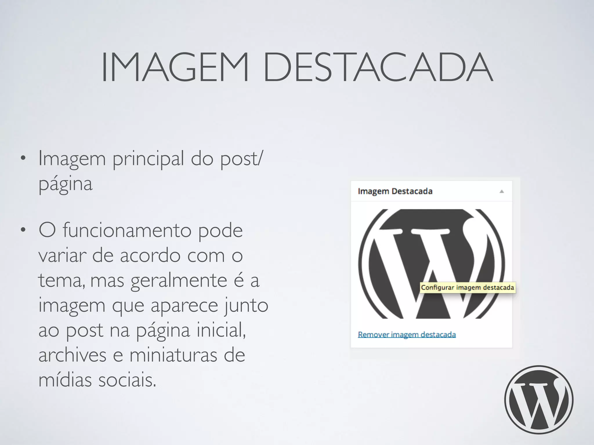 IMAGEM DESTACADA
• Imagem principal do post/
página
• O funcionamento pode
variar de acordo com o
tema, mas geralmente é a
imagem que aparece junto
ao post na página inicial,
archives e miniaturas de
mídias sociais.
 