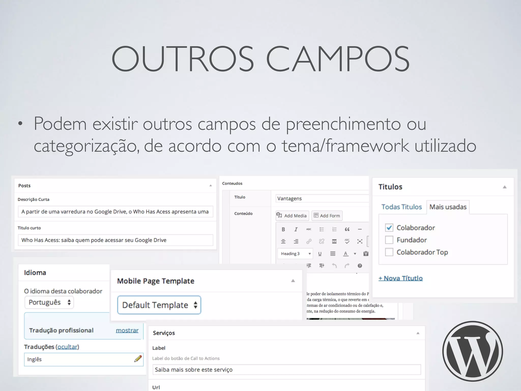 OUTROS CAMPOS
• Podem existir outros campos de preenchimento ou
categorização, de acordo com o tema/framework utilizado
 