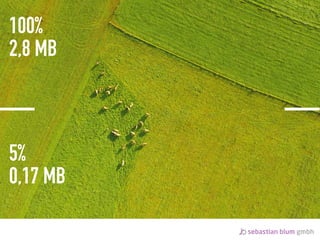 100%
2,8 MB
5%
0,17 MB
 