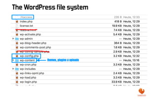 The WordPress file system
 