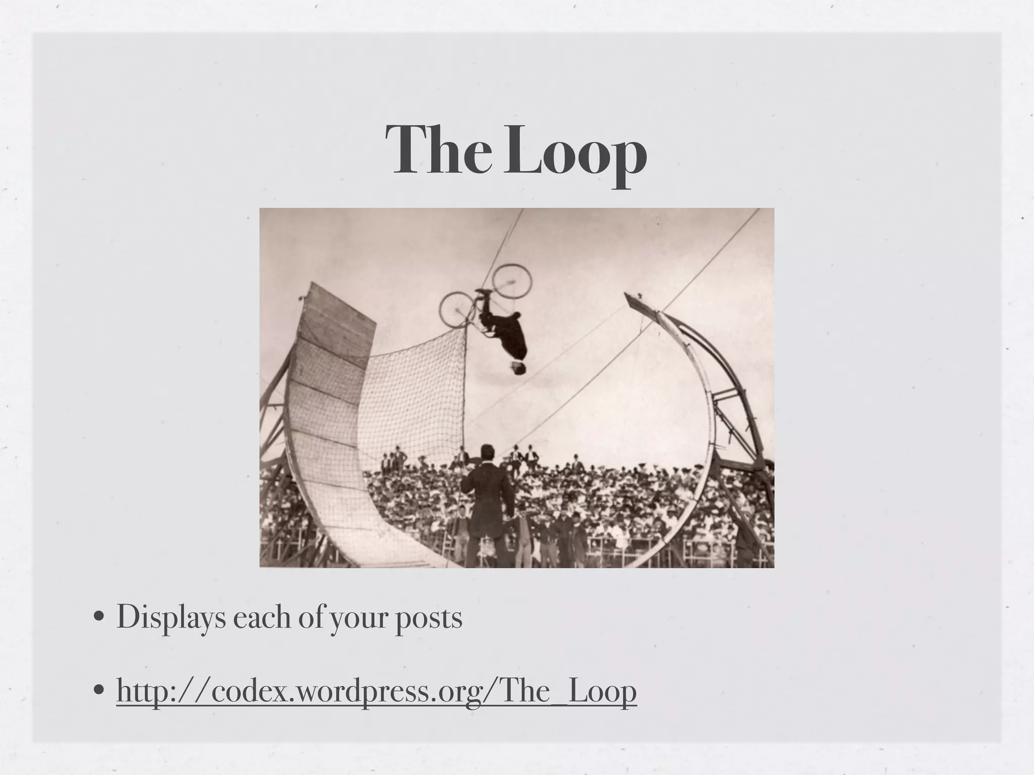 The Loop




• Displays each of your posts

• http://codex.wordpress.org/The_Loop
 