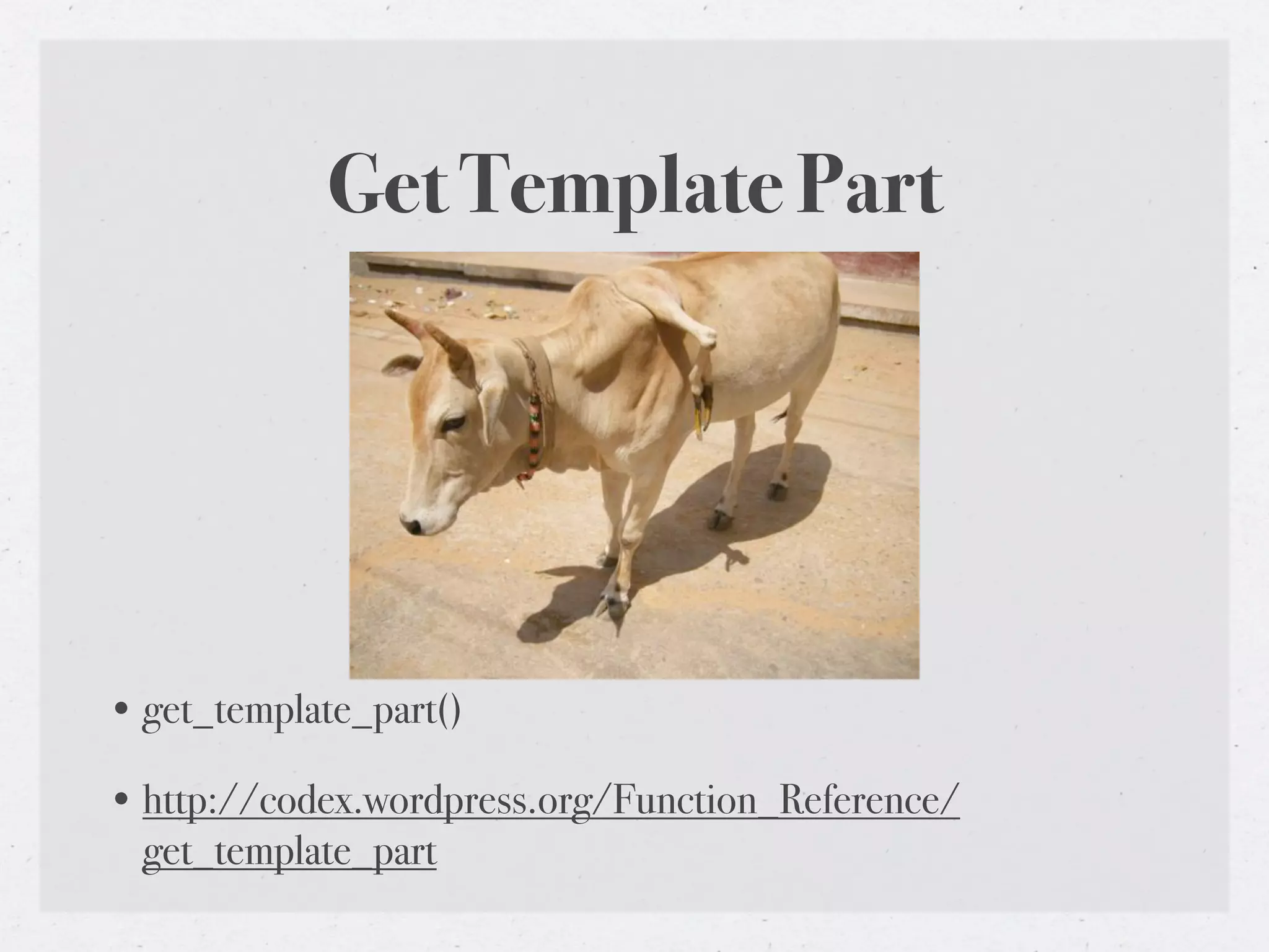 Get Template Part




• get_template_part()

• http://codex.wordpress.org/Function_Reference/
  get_template_part
 