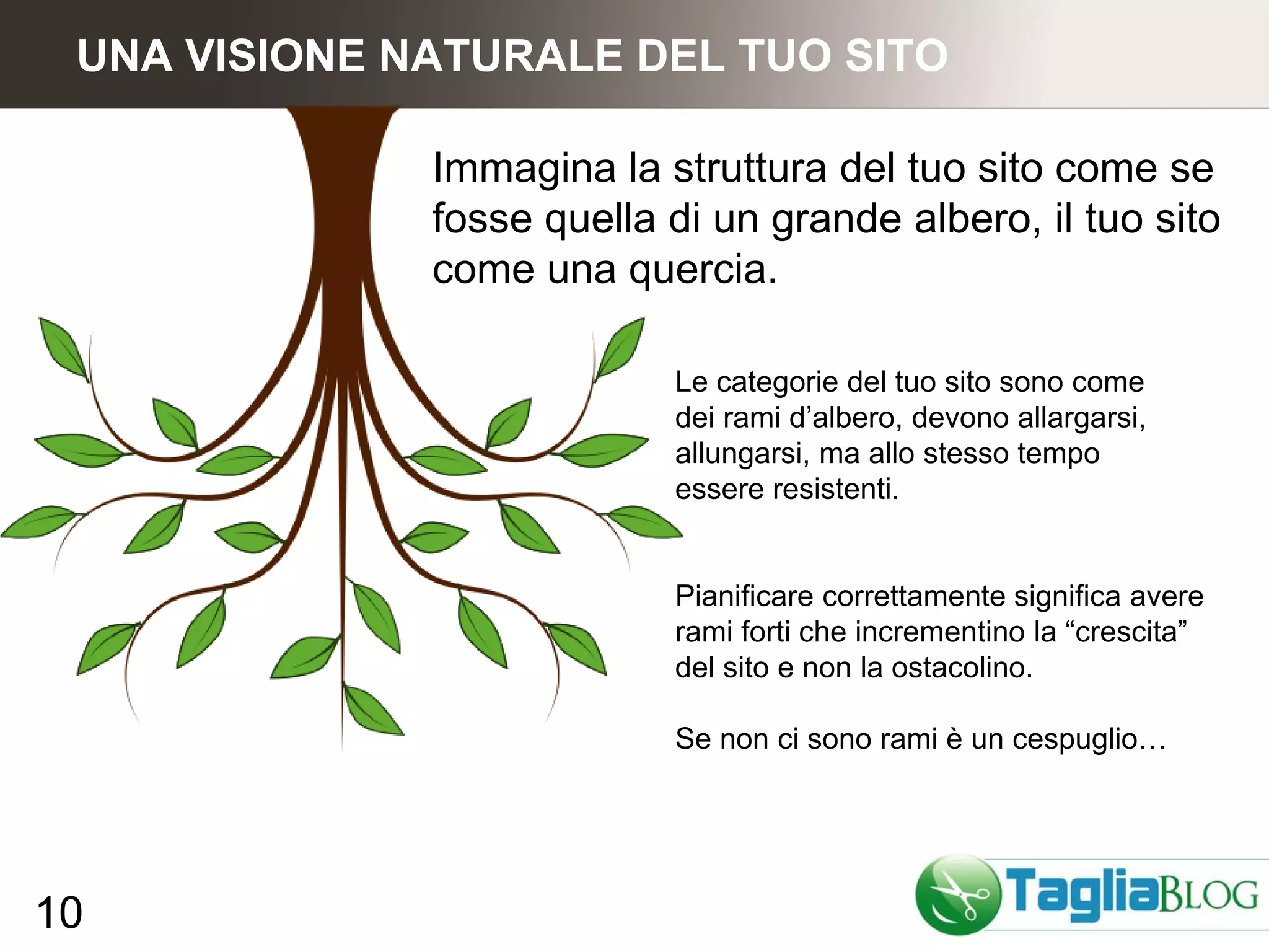 UNA VISIONE NATURALE DEL TUO SITO

              Immagina la struttura del tuo sito come se
              fosse quella di un grande albero, il tuo sito
              come una quercia.

                           Le categorie del tuo sito sono come
                           dei rami d’albero, devono allargarsi,
                           allungarsi, ma allo stesso tempo
                           essere resistenti.


                           Pianificare correttamente significa avere
                           rami forti che incrementino la “crescita”
                           del sito e non la ostacolino.

                           Se non ci sono rami è un cespuglio…




10
 