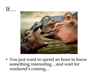 If…




• You just want to spend an hour to know
  something interesting…and wait for
  weekend‟s coming…
 